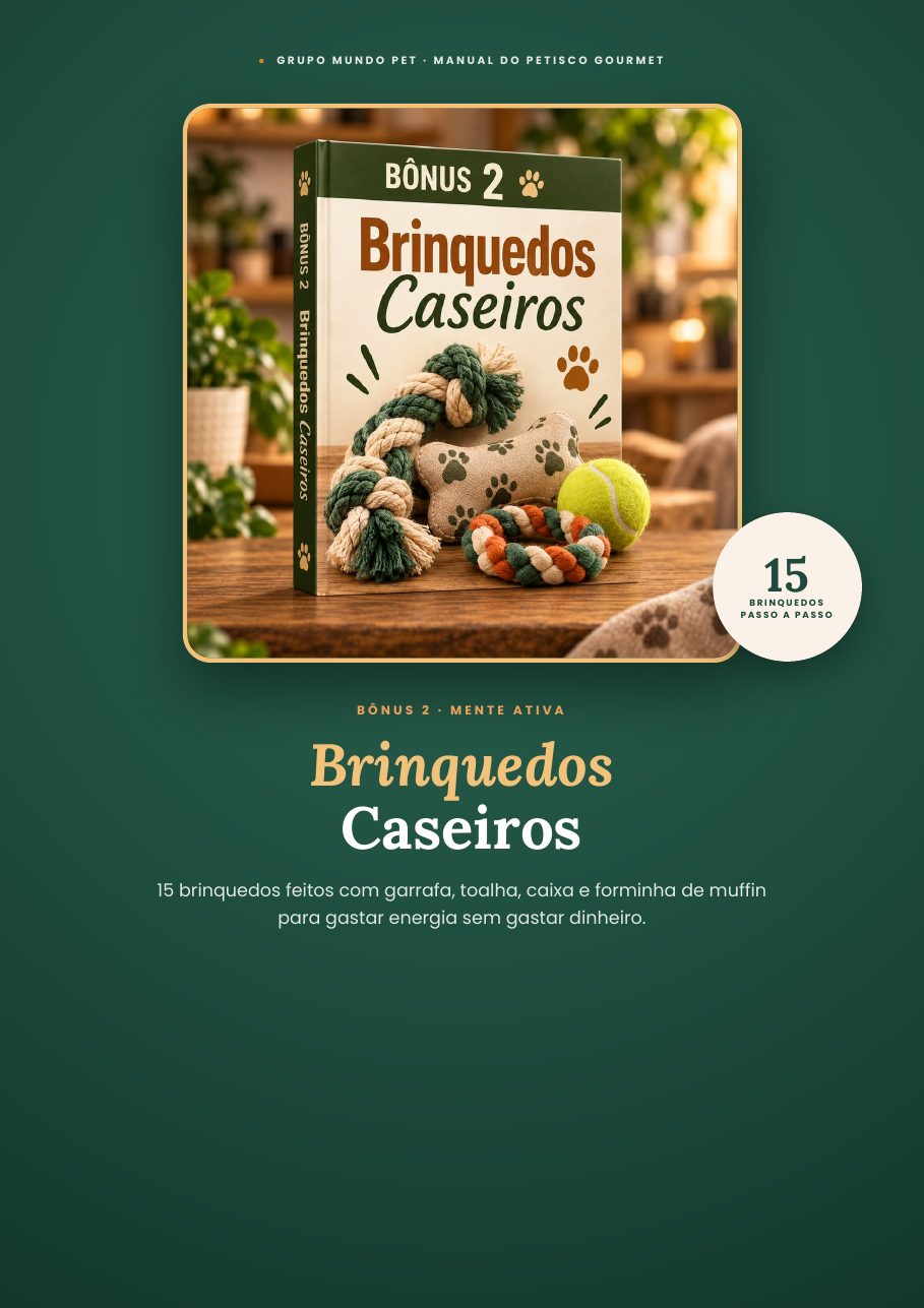 Capa — Brinquedos Caseiros