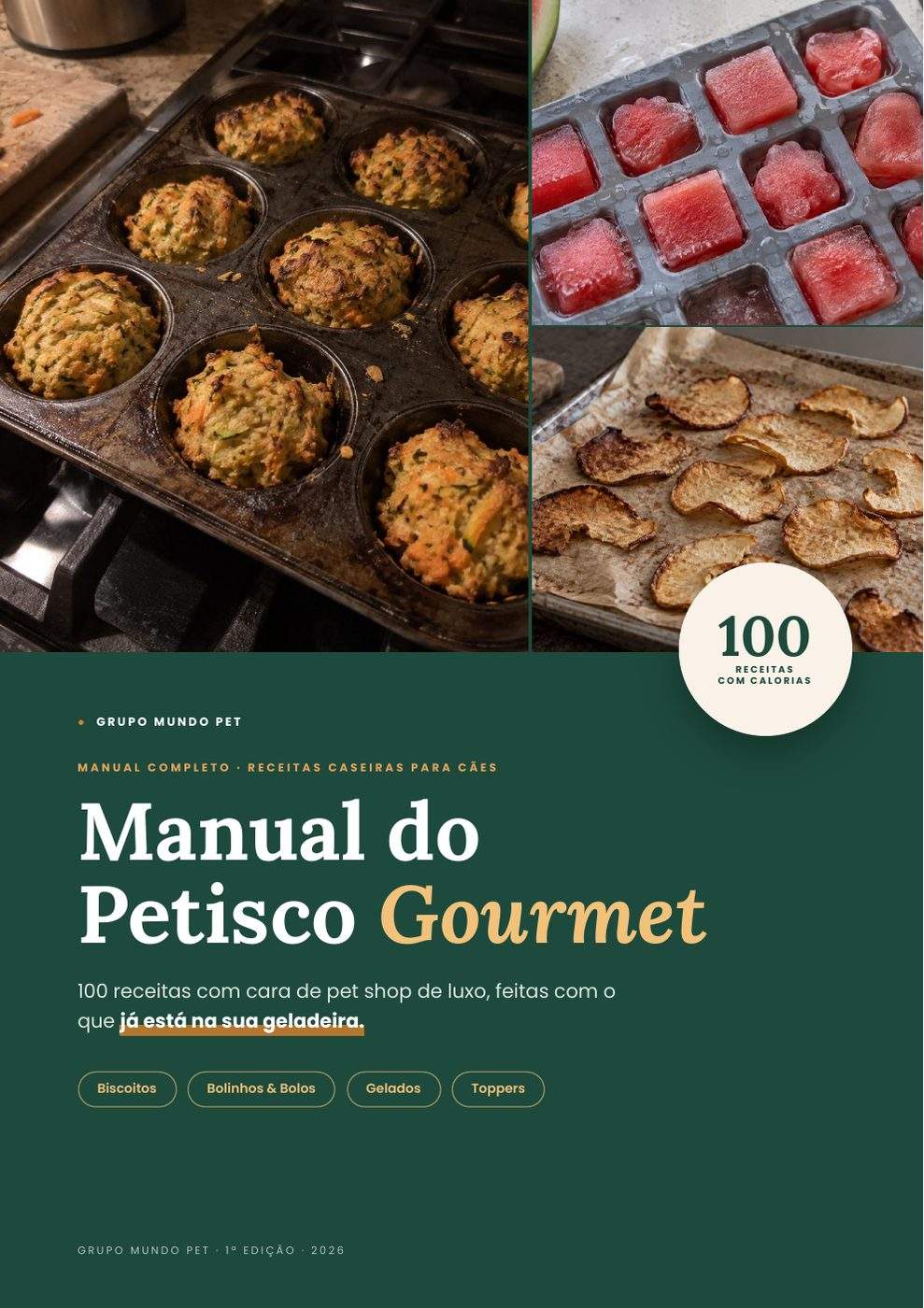 Capa do manual